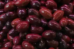 Close-up of a dish with Kalamata olives, fresh herbs, and tomatoes